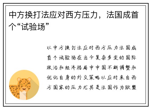中方换打法应对西方压力，法国成首个“试验场”