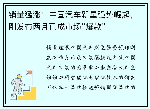 销量猛涨！中国汽车新星强势崛起，刚发布两月已成市场“爆款”