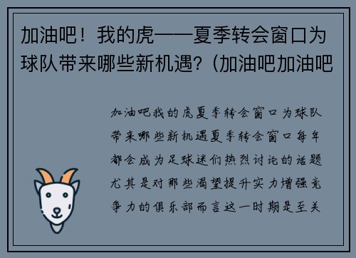 加油吧！我的虎——夏季转会窗口为球队带来哪些新机遇？(加油吧加油吧我们加油吧)