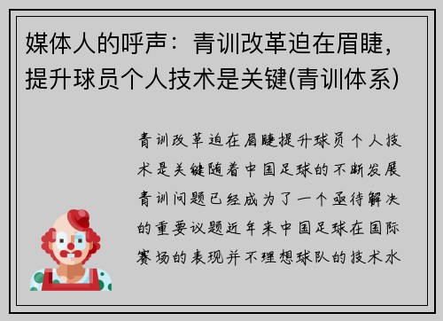 媒体人的呼声：青训改革迫在眉睫，提升球员个人技术是关键(青训体系)