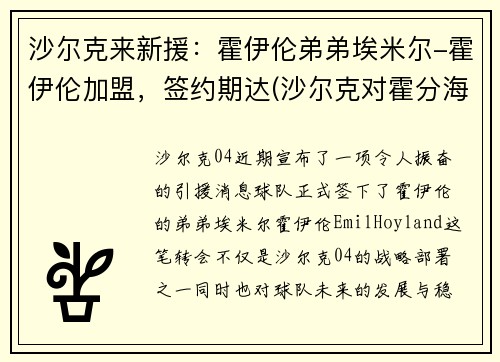 沙尔克来新援：霍伊伦弟弟埃米尔-霍伊伦加盟，签约期达(沙尔克对霍分海姆)