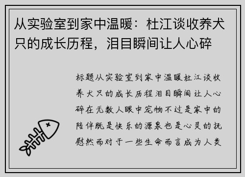 从实验室到家中温暖：杜江谈收养犬只的成长历程，泪目瞬间让人心碎